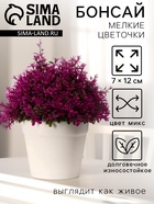 УЦЕНКА Бонсай «Мелкие цветочки» h=12 см h горшка 7 см, микс 10970555