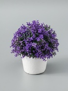 УЦЕНКА Бонсай «Мелкие цветочки» h=12 см h горшка 7 см, микс 10970555