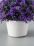 УЦЕНКА Бонсай «Мелкие цветочки» h=12 см h горшка 7 см, микс 10970555