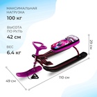 УЦЕНКА Снегокат «Тимка Спорт 2+» Slalom, ТС2+/SL Nika Kids 10970674