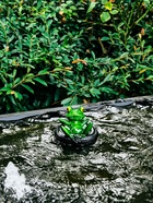 Садовая фигура 14 х 13 х 9,5 см "Лягушка в шине" Водоплавающая 10924234