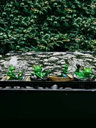 Садовая фигура из полистоуна «Лягушка на плоту», 17×11×9.5 см, плавающая  (артикул 10924236)  большой выбор товаров оптом и в розницу по низким ценам с доставкой