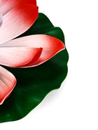 Садовый светильник для водоемов 28 х 28 х 9 см на солнечной бат-е "Лотос" красный N008 10933413