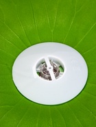 Садовый светильник для водоемов 28 х 28 х 9 см на солнечной бат-е "Лотос" красный N008 10933413