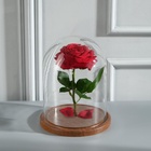 УЦЕНКА Стеклянный купол-клош на деревянной подставке "Венсан - 1", 20х15 см, коричневый - Фото 1