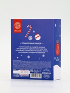 Подарочный набор новогодний «Медвежонок», гель для душа 100 мл и мист для тела, URAL LAB 10880679