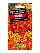 Семена Бархатцы «София» отклоненные, смесь сортов, 0.3 г (3 шт) - фото 809771178