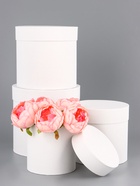 Набор круглых подарочных коробок 4 в 1 «Белизна», 20×19.5 ‒13×13 см 10963577