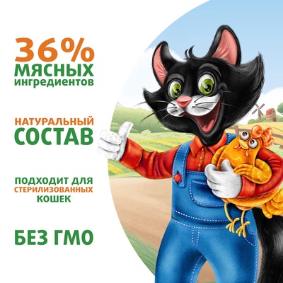 Влажный корм для кошек «Ферма кота Фёдора» сочные кусочки в соусе, с курицей, 85 г