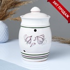 УЦЕНКА Банка для хранения чеснока «Глазурь» 2 л, нет крышки - Фото 1