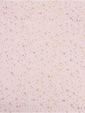 Бумага упаковочная глянцевая «Звёзды», 70?100 см (комплект 10 шт)