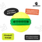 Мяч для собак Mr.Kranch «Зубастик», диаметр 6 см, жёлтый, зелёный 10913837