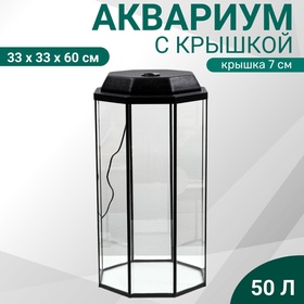 {{photo.Alt || photo.Description || 'УЦЕНКА Аквариум «Восьмигранный» с крышкой, 50 литров, 33×33×60/67 см, чёрный'}}