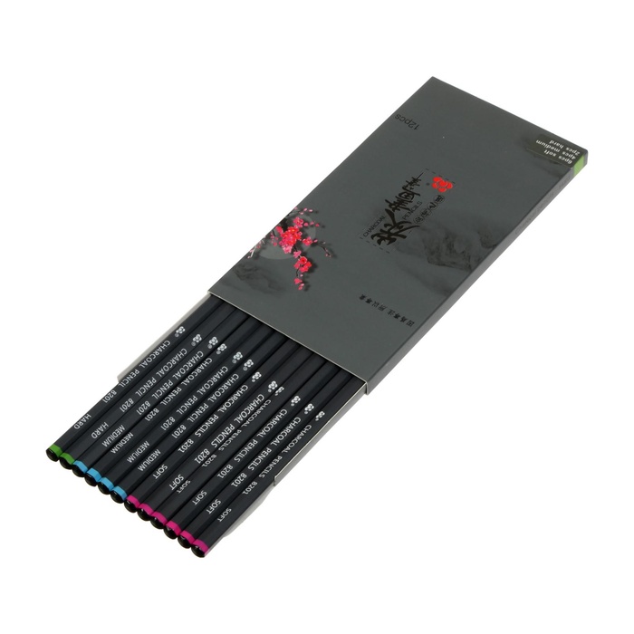 УЦЕНКА Карандаши угольные черные 12 штук в наборе (6шт-мягкий,4шт-средний,2шт-твердый) - Фото 1