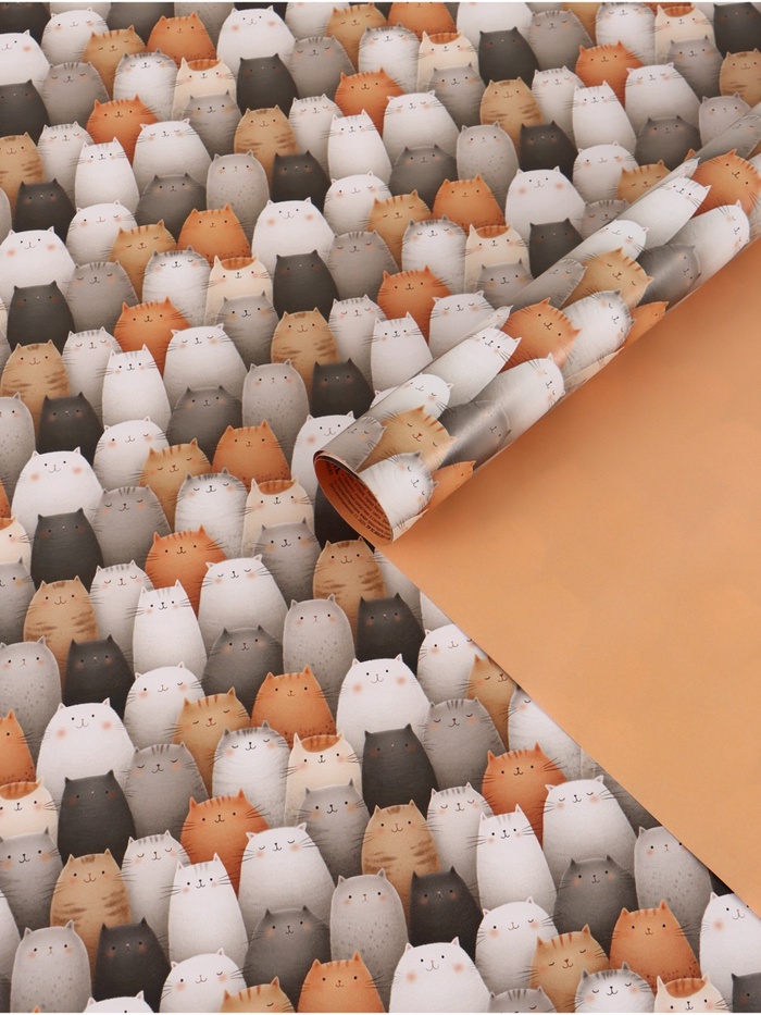 Бумага упаковочная глянцевая двухсторонняя «Коты», 70×100 см - Фото 1