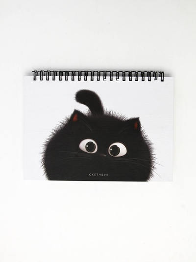 Скетчбук в твердой обложке на гребне А5 80 л 100 г/м «Котик»