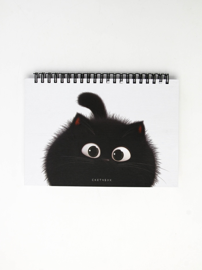 Скетчбук в твердой обложке на гребне А5 80 л 100 г/м "Котик" - Фото 1