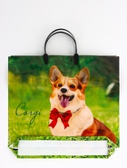 Пакет «Корги», полиэтиленовый, пластиковая ручка, 37×35 см, 90 мкм 10958906