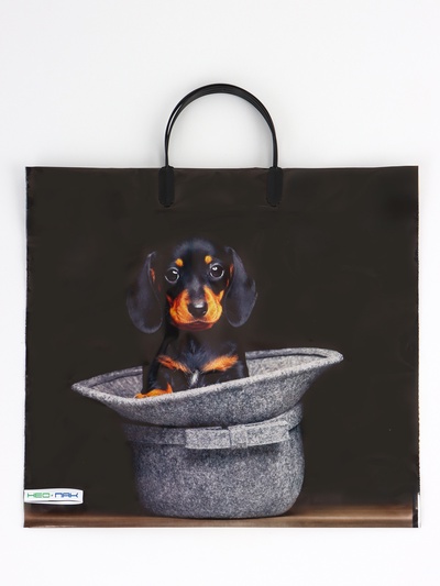 Пакет «Такса», полиэтиленовый, пластиковая ручка, 37×35 см, 90 мкм