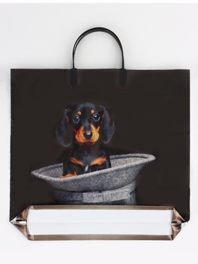 Пакет «Такса», полиэтиленовый, пластиковая ручка, 37?35 см, 90 мкм (комплект 5 шт)