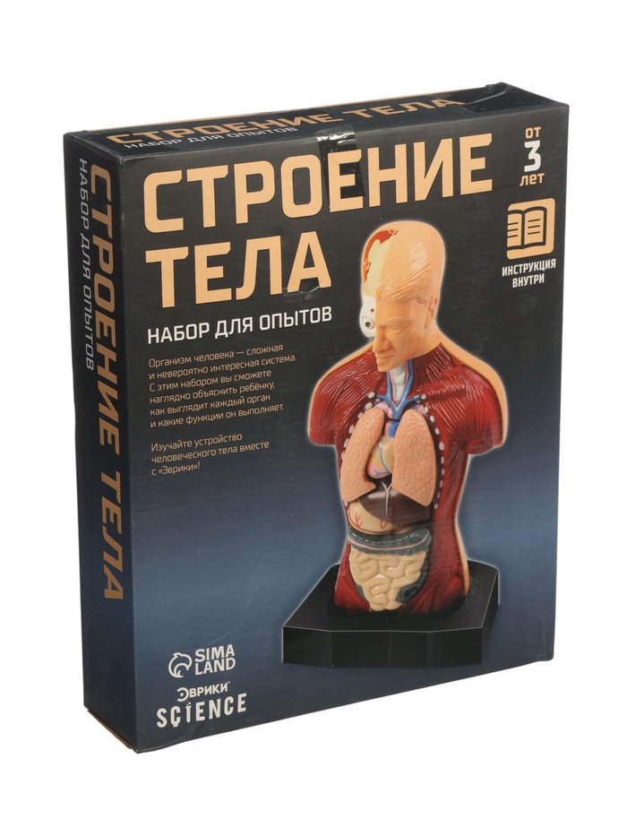 УЦЕНКА ЭВРИКИ Научный опыт «Строение тела» №SL-00702A - Фото 1