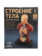 УЦЕНКА ЭВРИКИ Научный опыт «Строение тела» №SL-00702A - Фото 2