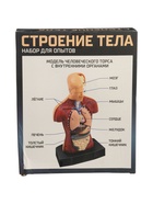 УЦЕНКА ЭВРИКИ Научный опыт «Строение тела» №SL-00702A - Фото 3