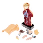 УЦЕНКА ЭВРИКИ Научный опыт "Строение тела" №SL-00702A - Фото 6