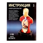 УЦЕНКА ЭВРИКИ Научный опыт "Строение тела" №SL-00702A - Фото 9