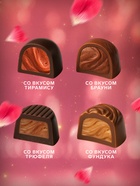 Шоколадные конфеты ассорти  LUSI CHOCOLATE ALLURE COLLECTION(розовая), 308гр 10963102