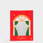 Пакет подарочный бумажный с окном «Театр» 26×35×16 см, крафт красный - фото 63636113