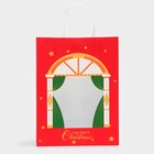 Пакет подарочный бумажный с окном «Театр» 26×35×16 см, крафт красный - фото 63636114