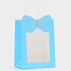Пакет подарочный бумажный с окном «Бант», 19×26×13 см, голубой 10851671
