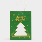 Пакет подарочный бумажный с окном «Ёлка» 19?26?13 см, крафт зеленый (комплект 2 шт) - фото 63636129