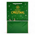 Пакет ламинированный подарочный с окном «Дед мороз» 24×35×14 см, зелёный 10851683