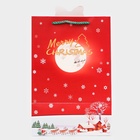 Пакет подарочный ламинированный с окном «Рождественский звон», тиснение 30×20×16 см, красный 10851692