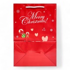 Пакет ламинированный подарочный с окном «Дед мороз» 24×35×14 см, зеленый 10851695