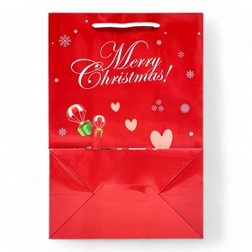 Пакет ламинированный подарочный с окном «Дед мороз» 24?35?14 см, зеленый (комплект 2 шт)