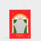 Пакет подарочный бумажный с окном «Театр» 30×22×14 см, крафт красный 10851701