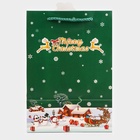 Пакет подарочный ламинированный с окном «Новый Год», тиснение, 18×25×13 см, зеленый 10851704
