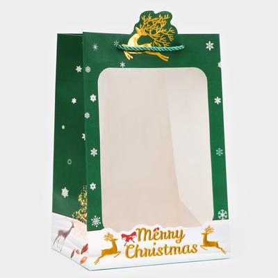 Пакет подарочный ламинированный с окном «Новый год» тиснение, 30×20×16 см, зеленый