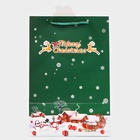 Пакет подарочный ламинированный с окном «Новый год» тиснение, 30×20×16 см, зеленый 10851705