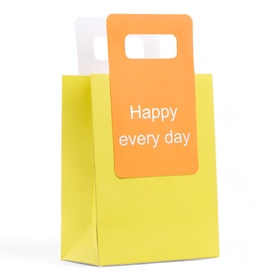 Пакет подарочный бумажный с вырубной ручкой 18×23×9 см, лайм 10851718