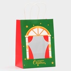 Пакет подарочный бумажный, с окном «Театр» 19×26×13 см, крафт зеленый 10851722