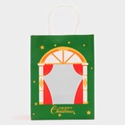 Пакет подарочный бумажный, с окном «Театр» 19×26×13 см, крафт зеленый 10851722