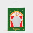 Пакет подарочный с окном «Театр» 26×35×16 см, зеленый 10851727