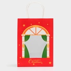 Пакет подарочный с окном «Театр» 19×26×13 см, красный 10851728