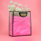 Пакет сумочка ПП с вырубной ручкой, прозрачный 33?28?12 см, черный (комплект 2 шт) - фото 64218745