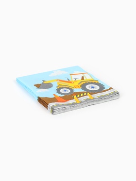 Салфетки бумажные двухслойные «Техника», 25?25, 12 шт. (комплект 2 шт)