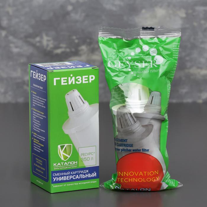 Картридж сменный «Гейзер», модуль 501 - Фото 1